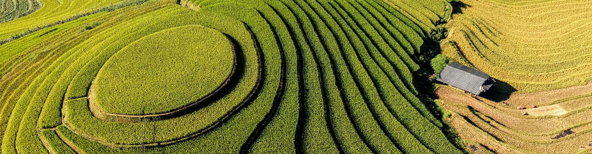 Travel Tips in North Vietnam