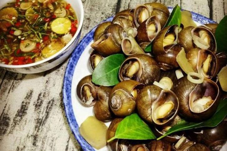 Halong Snails