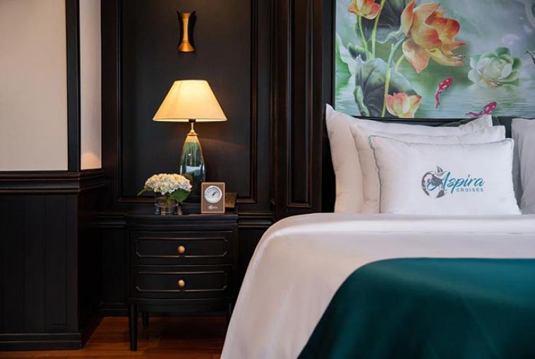 Aspira-Cruises-36