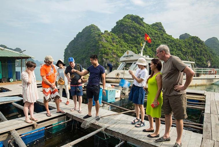 Genesis-Luxury-Regal-Cruises-25