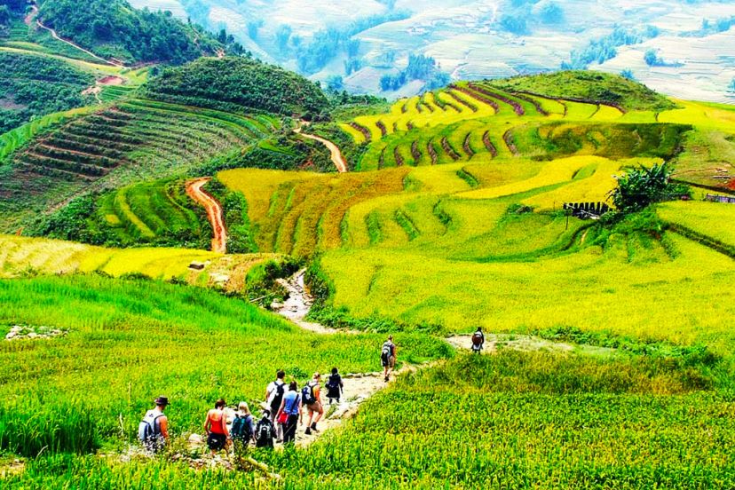 What To Bring On Exciting Vietnam Trekking Tours? 